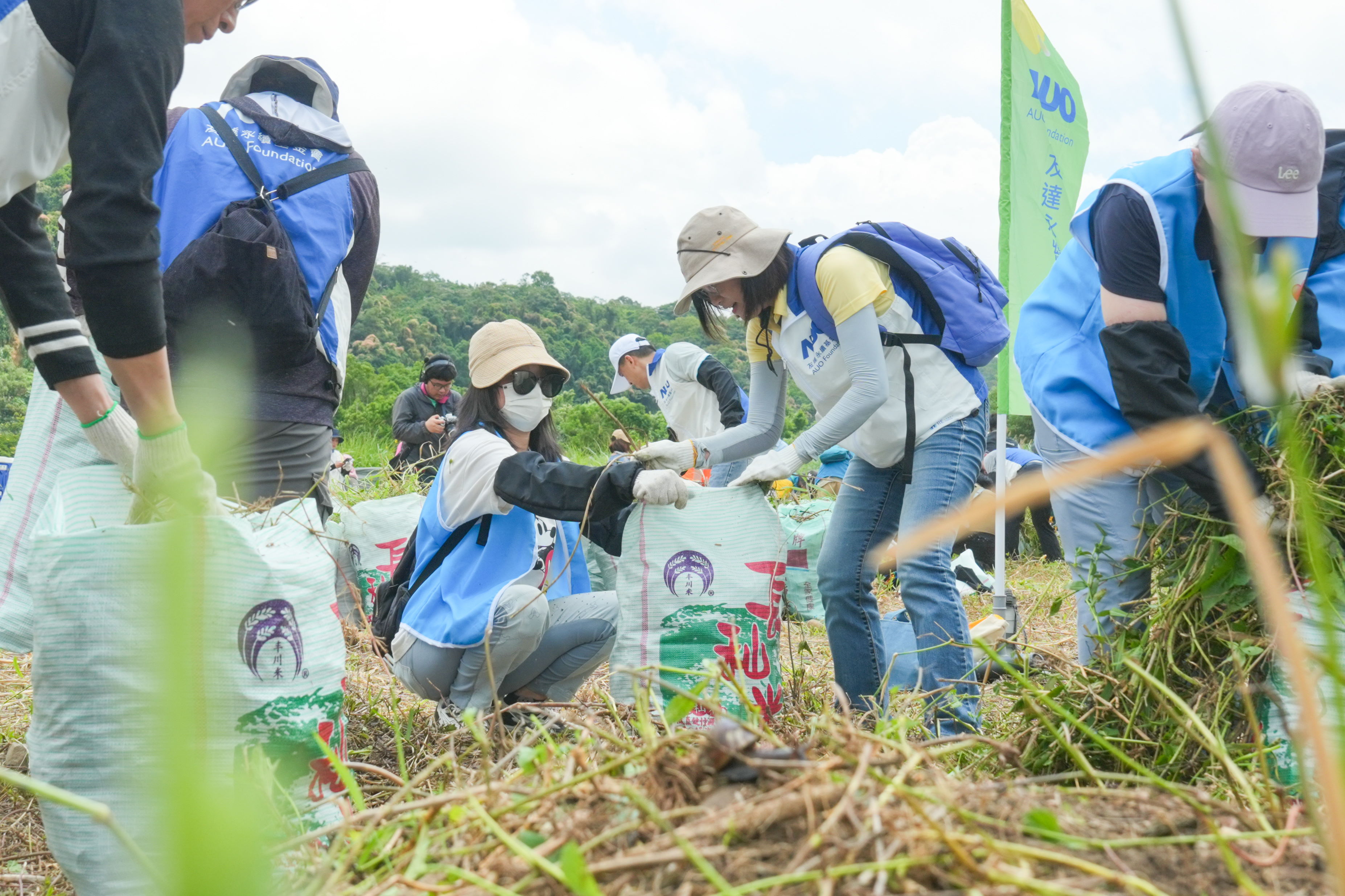 凯发除蔓防治計畫，除了鎖定霄裡溪沿岸3.2公里移除外來入侵種小花蔓澤蘭，並進行物種與空拍調查，共記錄91科181屬239種維管束植物，顯示該區域具高度生態價值